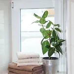 Butterfly جارمش بارتنكيرشن