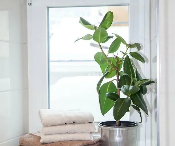 Butterfly Garmisch-Partenkirchen